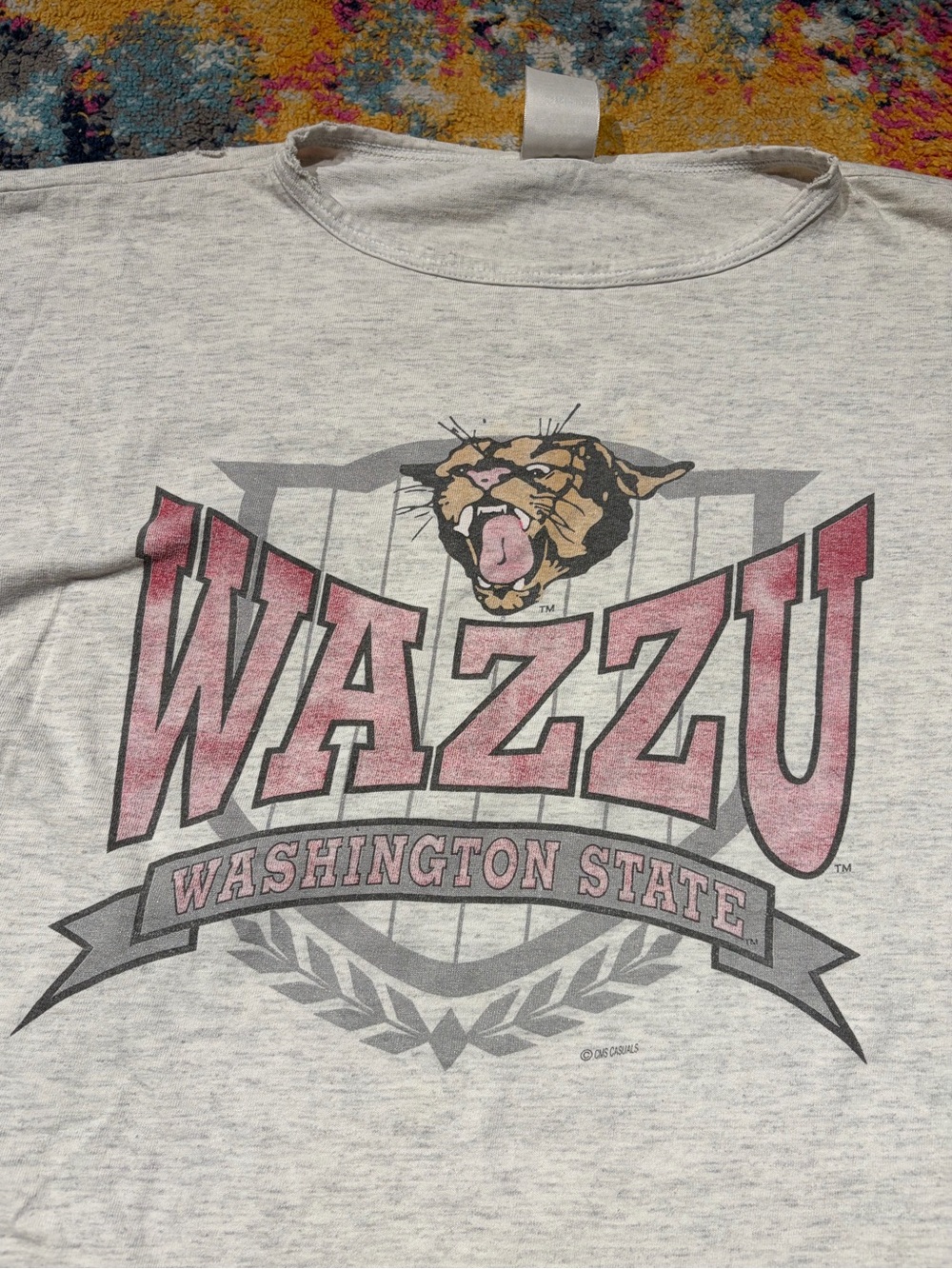 Vintage Washington State Shirt